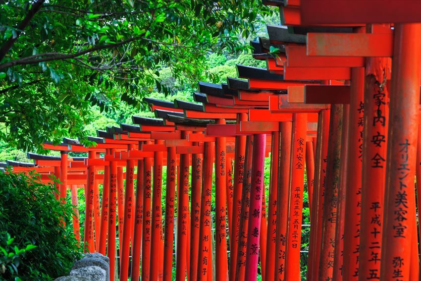 Đền Nezu: một trong những "viên ngọc hiếm" ít người biết đến của Tokyo -  Sugoi | Trang tin tức Nhật Việt